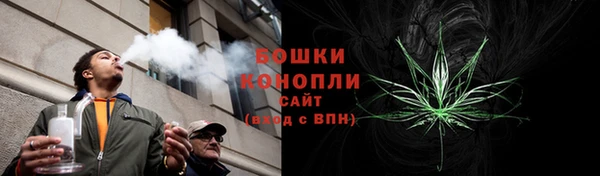 ПСИЛОЦИБИНОВЫЕ ГРИБЫ Белоозёрский