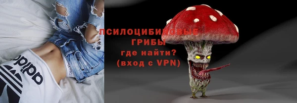 таблы Белокуриха