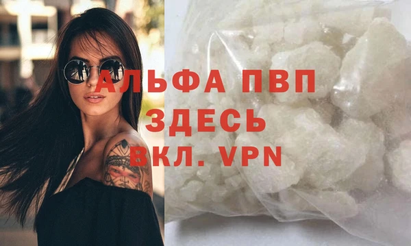 ПСИЛОЦИБИНОВЫЕ ГРИБЫ Белоозёрский