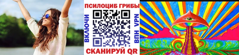 Галлюциногенные грибы Magic Shrooms купить закладку блэк спрут ССЫЛКА Заречный
