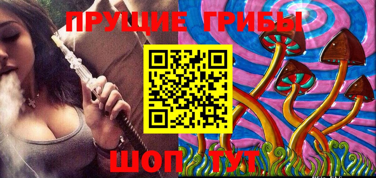 Заречный  Псилоцибиновые грибы Magic Shrooms  Вход с VPN  Галлюциногенные грибы мухоморы 